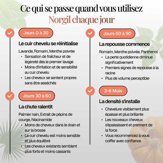 Rituel Anti-chute Essentiel